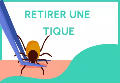 Comment retirer une tique ?